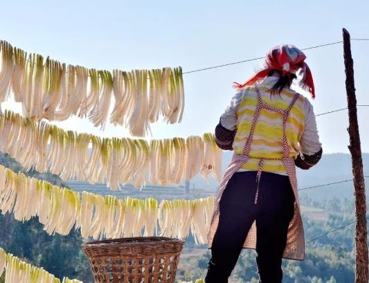 天氣不好怎么曬蘿卜干?做好的蘿卜干怎么保存