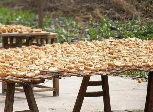 腌蘿卜干要腌多長時間才能曬?綠蘿卜怎么做成蘿卜干