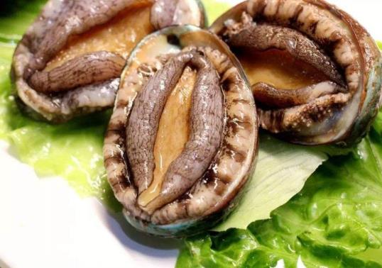 鮑魚怎么煮粥才好吃?活的鮑魚怎么處理干凈