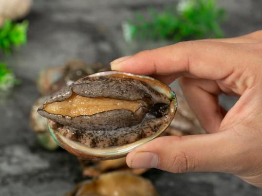 鮑魚怎么煮粥才好吃?活的鮑魚怎么處理干凈