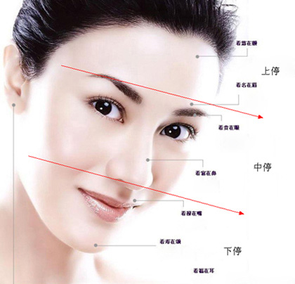 �����D�⣺��������ͣ���Ҹ��\�ݼ���