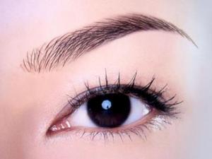 眉毛看相:從眉毛看一個人的品格和感情動向