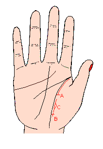 手相影響線,影響線圖解,手相影響線算命圖解