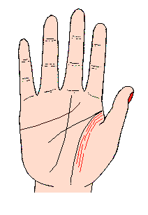 手相影響線,影響線圖解,手相影響線算命圖解