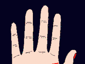 斷掌手相圖解:女人斷掌手相圖解