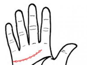 手相算命圖解:愛情如煙花的手相