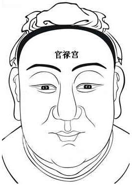 面相算命圖解:面相十二宮圖之官祿宮