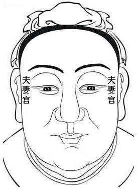 面相算命圖解:面相十二宮圖之妻妾宮