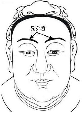 面相算命圖解:面相十二宮圖之兄弟宮