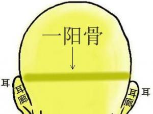 骨相圖解:一陽骨