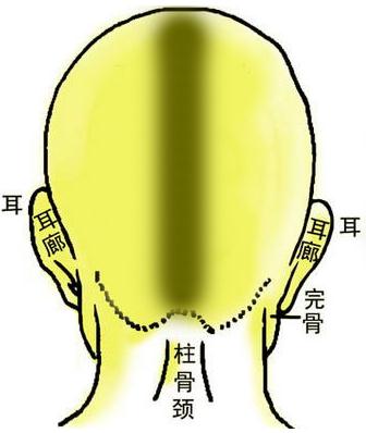 �����D�⣺�ő�ᘹ�