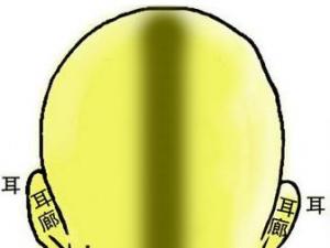 �����D�⣺�ő�ᘹ�