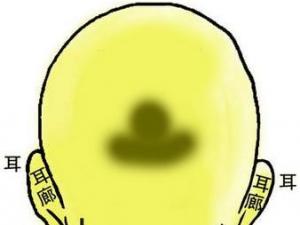 �����D�⣺��������