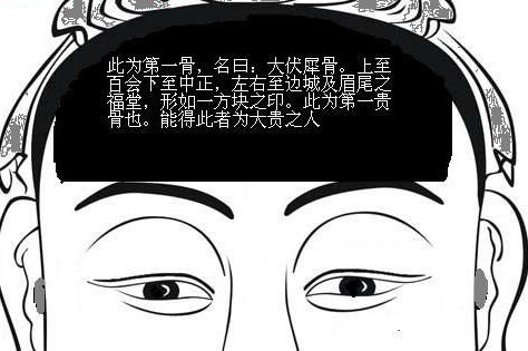 骨相圖解:朝天伏犀骨