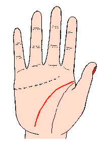 智慧線圖解:手相智慧線算命圖解3.gif