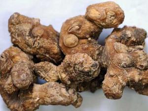 黃精的功效與作用-黃精的食用方法