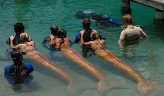 電影《加勒比海盜4》經(jīng)典臺詞對白經(jīng)典語錄名句賞析