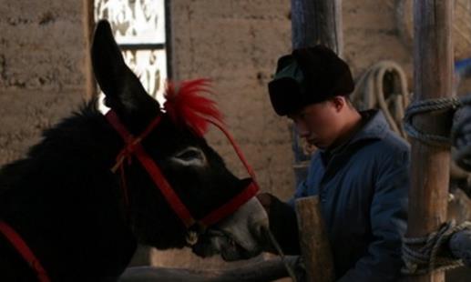 電影《走著瞧》經(jīng)典臺詞對白經(jīng)典語錄名句賞析