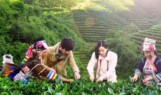 電影《回到愛開始的地方》經典臺詞對白經典語錄名句賞析