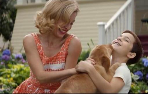 電影《一條狗的使命》經(jīng)典臺詞對白經(jīng)典語錄名句賞析