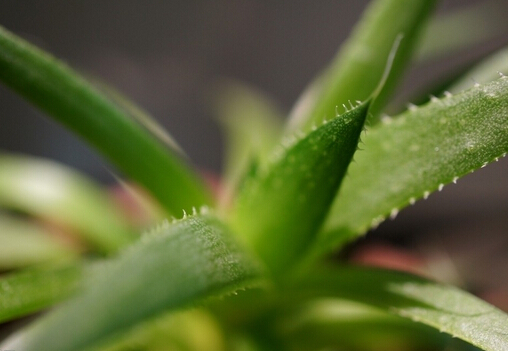 �J�C�z�Ĺ�Ч�c����-�ЋD�����J�C�z����