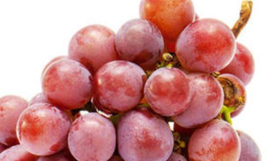 食物的選擇至關(guān)重要 六種水果推薦給你