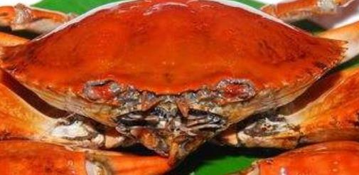 6種食物孕婦要注意