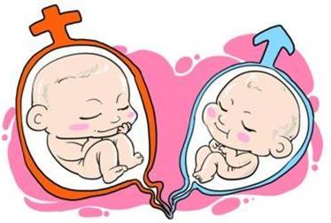 懷雙胞胎有什么癥狀?懷雙胞胎應(yīng)該注意什么