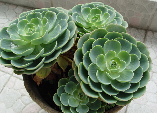 �����Ќ������B�^��ɏ�᣿�^��ɏ���Bֳ����