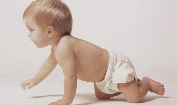 寶寶爬行
