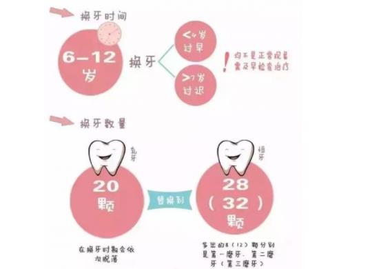 兒童換牙順序 兒童換牙期需要補鈣嗎
