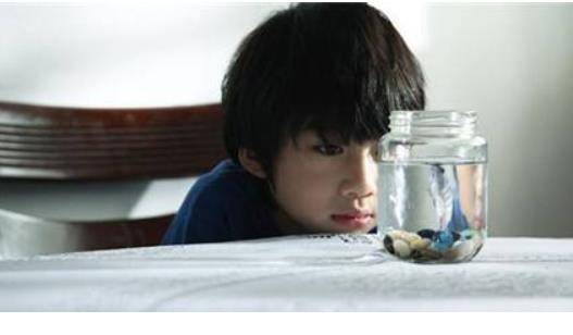 先天自閉癥能治好嗎 自閉癥兒童的飲食禁忌