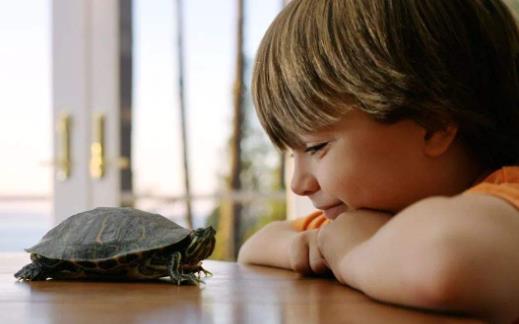 兒童性格內向怎樣教育 什么原因導致兒童性格內向