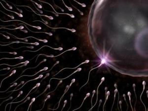 ���ӳɻ��ʵ���ô�k�����ӳɻ��ʵͳ�ʲôʳ���