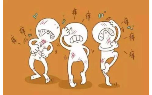 秋季蕁麻疹是怎么引起的 秋季蕁麻疹如何預(yù)防