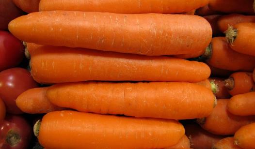 胡蘿卜種植時間是什么時候?胡蘿卜最佳種植時間