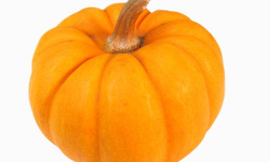 南瓜種植時間是什么時候?南瓜最佳種植時間