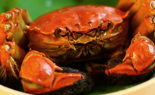 陽澄湖大閘蟹什么時候上市?陽澄湖大閘蟹上市時間