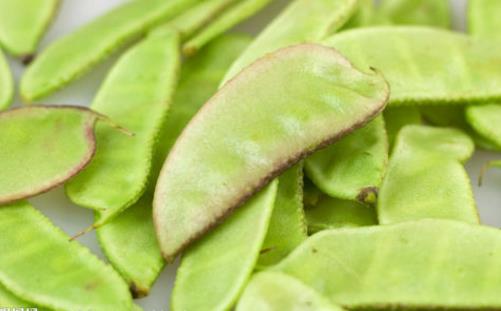 扁豆種植時(shí)間是什么時(shí)候?扁豆最佳種植時(shí)間