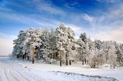 人最佳睡眠時(shí)間是什么時(shí)候 人什么時(shí)候睡覺(jué)最好