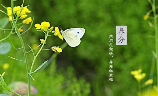 2018年春分是哪天?春分是什么時(shí)候?