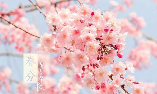 2018年春分是哪天?春分是什么時(shí)候?