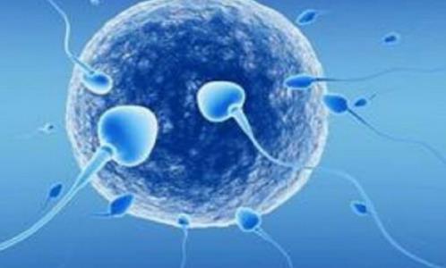 什么時候最容易受孕?最易受孕時間