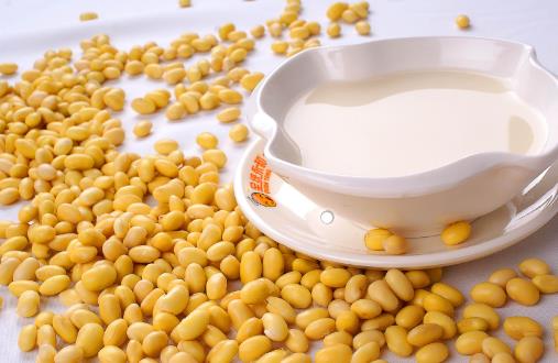 豆?jié){能天天喝嗎?什么時(shí)候喝最好?