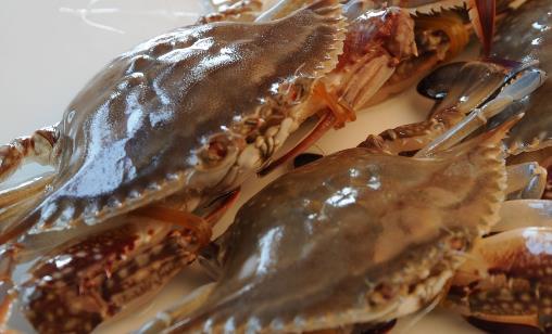 梭子蟹什么季節(jié)吃最好 梭子蟹公的和母的什么時候吃