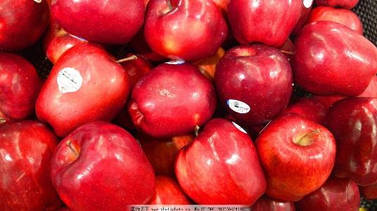 蛇果什么時候成熟上市 蛇果是什么季節的水果