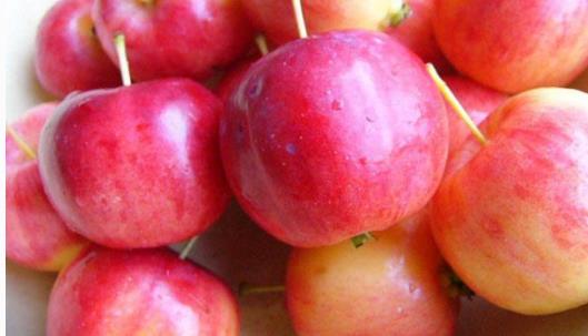 海棠果什么時候成熟 海棠果什么季節上市