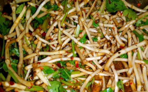 魚腥草什么人不能吃 魚腥草什么季節吃最好