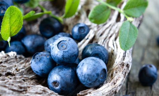 藍(lán)莓是什么季節(jié)的水果 藍(lán)莓幾月份成熟上市