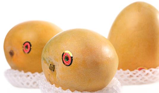 海南澳芒幾月份上市 澳芒什么季節熟